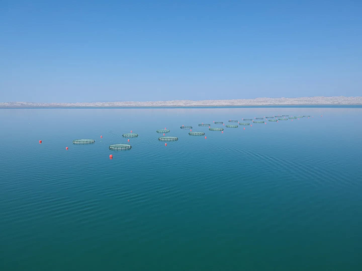 Sturgeon Farm — Caspian Sea, Azerbaijan — 2014