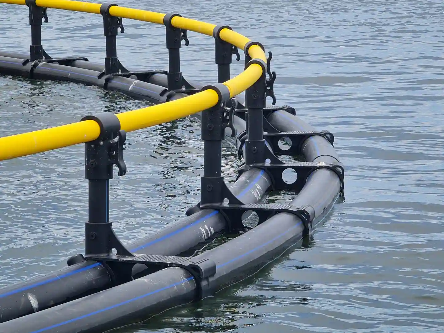 Tilapia Farm — Volta Lake, Ghana — 2016